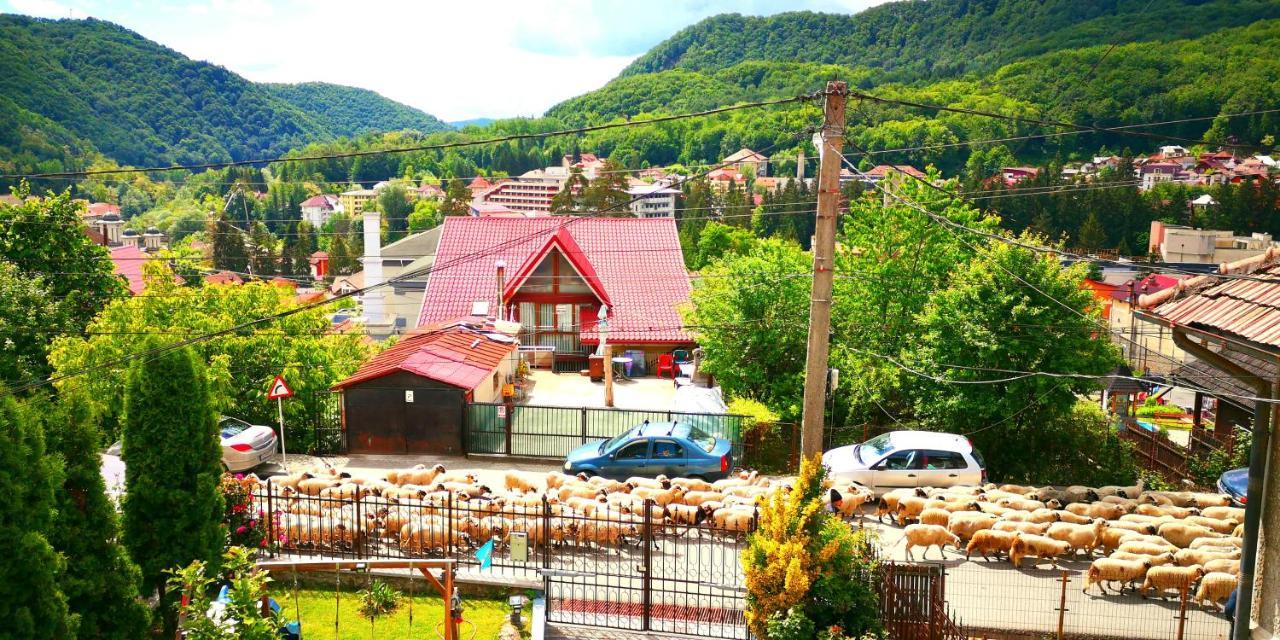 מלון Băile Olăneşti Casa Giulia מראה חיצוני תמונה