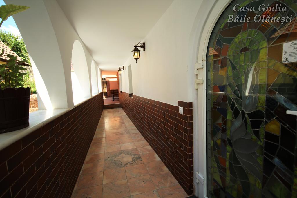 מלון Băile Olăneşti Casa Giulia מראה חיצוני תמונה